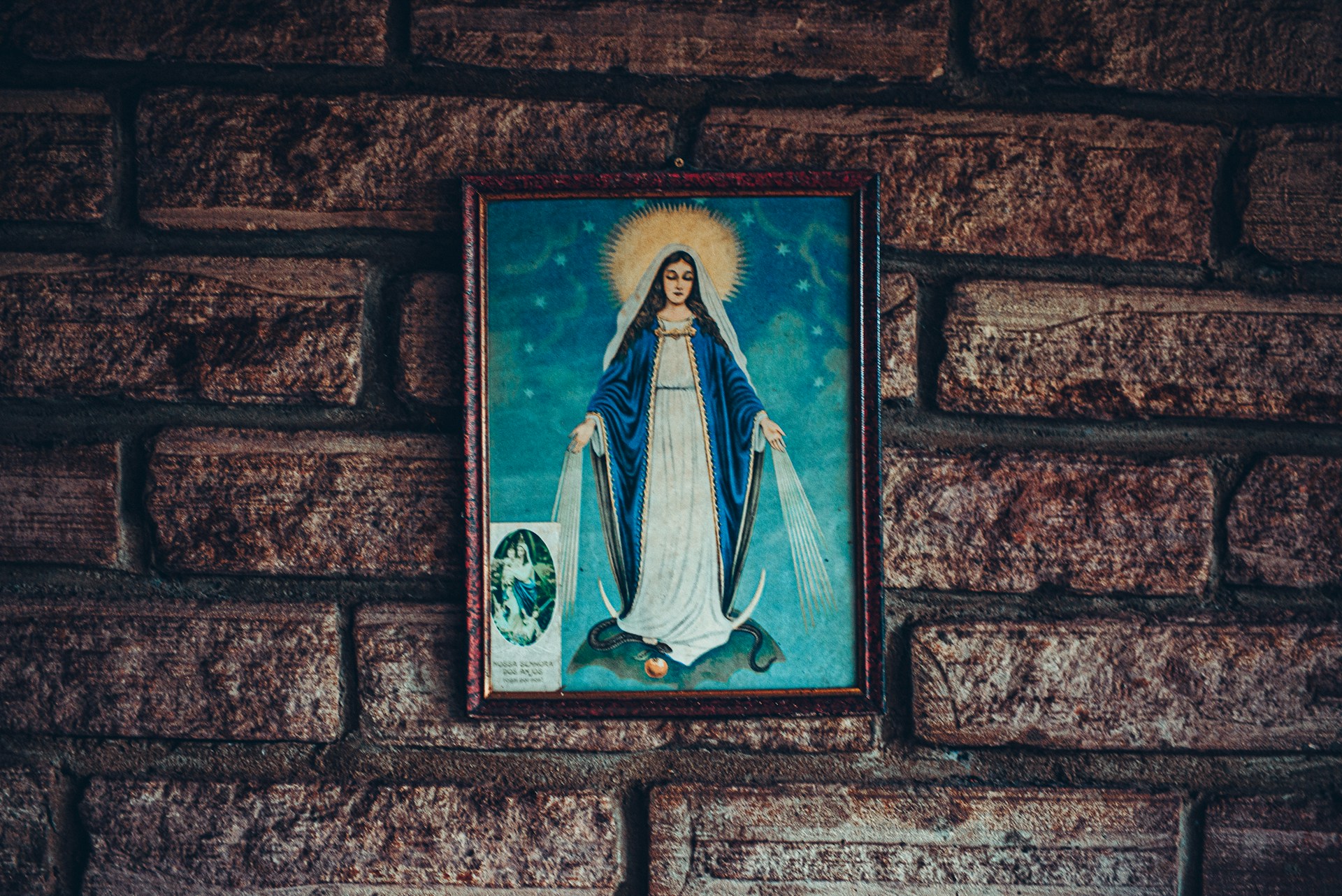 Maryja prowadziła mnie do&nbsp;przebaczenia i&nbsp;Bożego Miłosierdzia